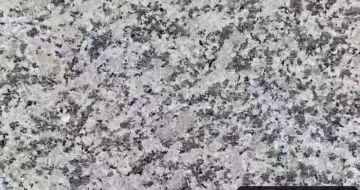 马鞍山 芙蓉白（芝麻白大花）火烧面